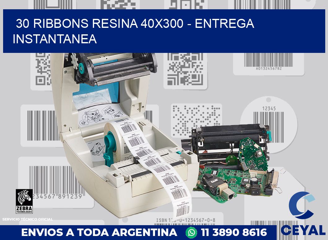 30 Ribbons resina 40x300 - entrega instantanea