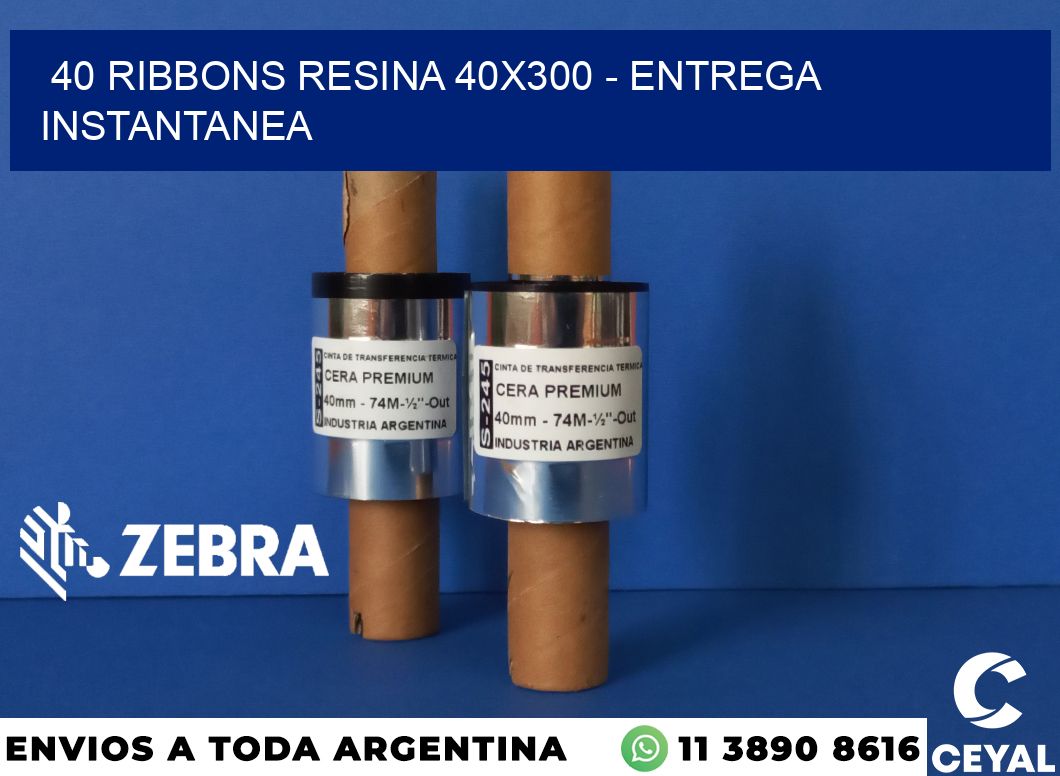40 Ribbons resina 40x300 - entrega instantanea