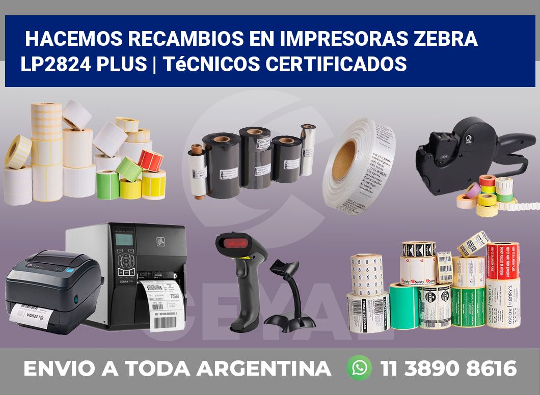 Hacemos recambios en impresoras Zebra LP2824 Plus | Técnicos certificados
