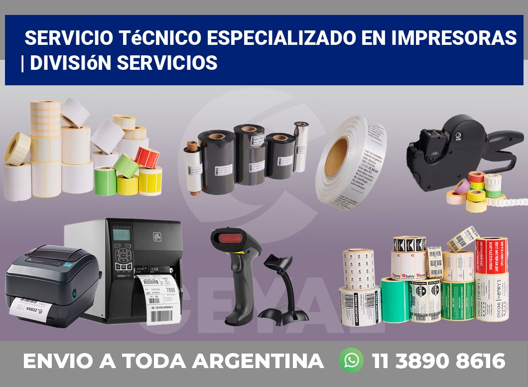 Servicio técnico especializado en impresoras | División Servicios