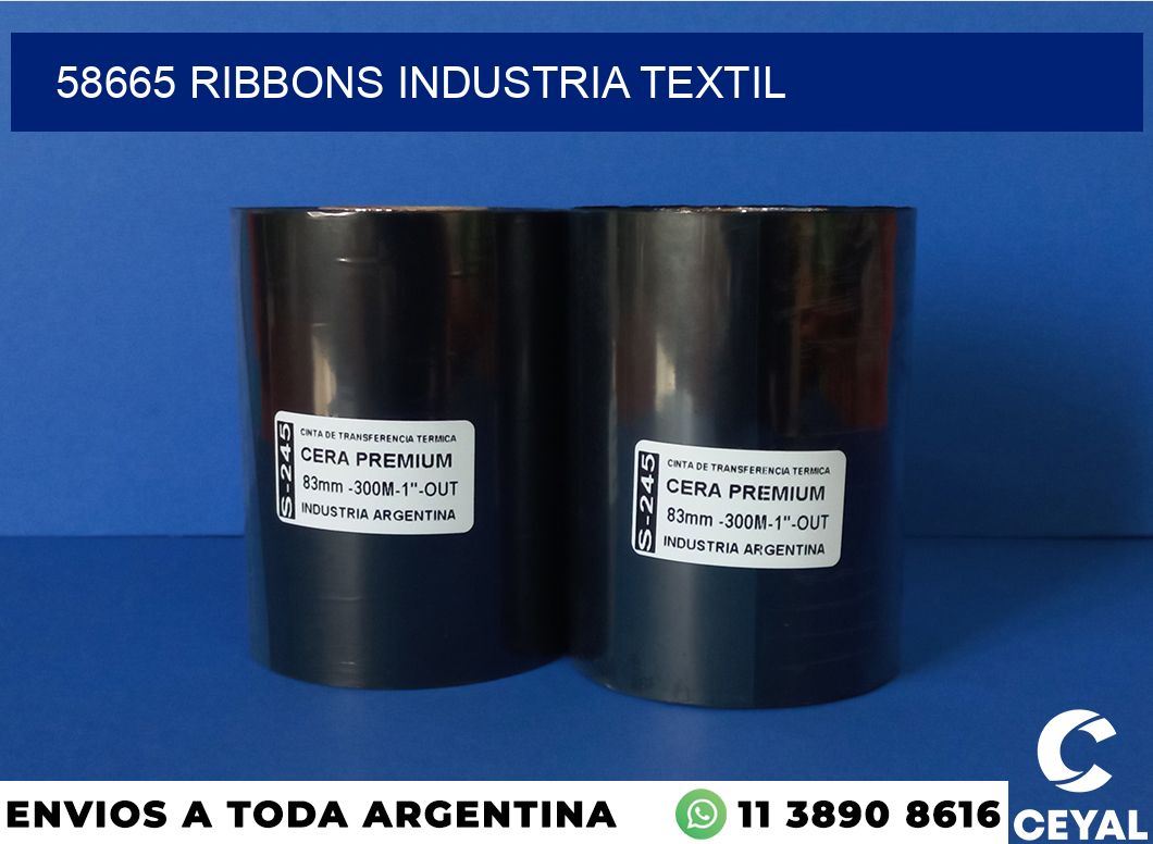 58665 ribbons industria textil