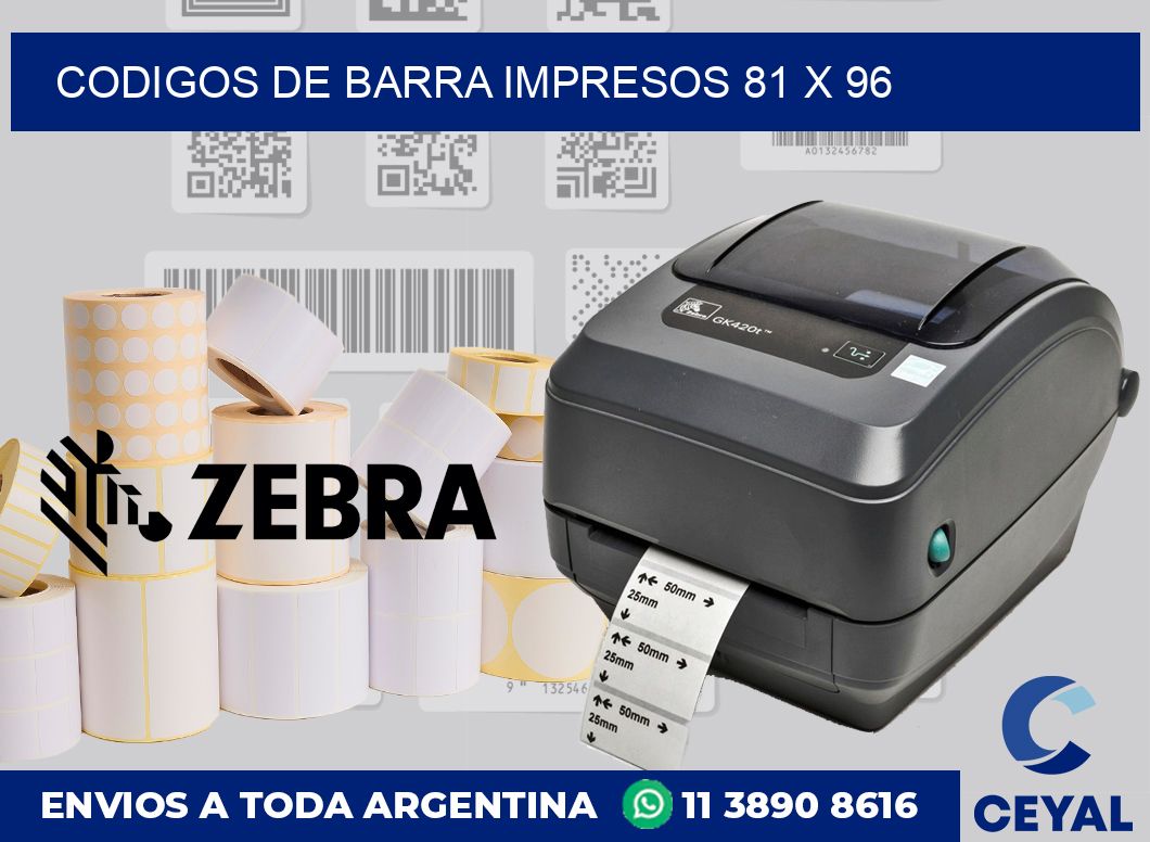 Codigos de barra impresos 81 x 96