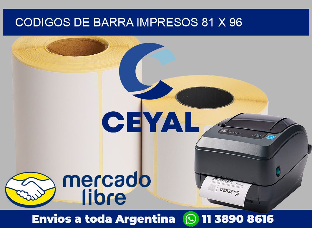 Codigos de barra impresos 81 x 96