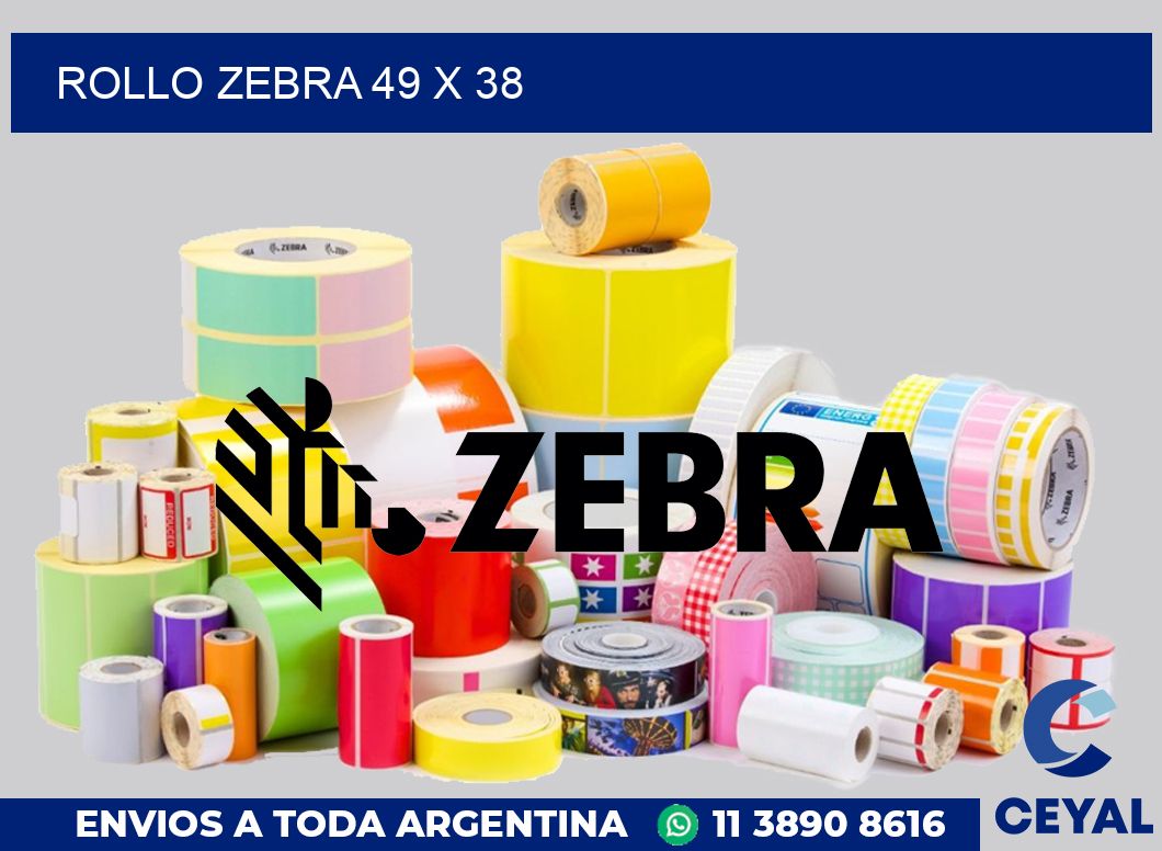 rollo zebra 49 x 38