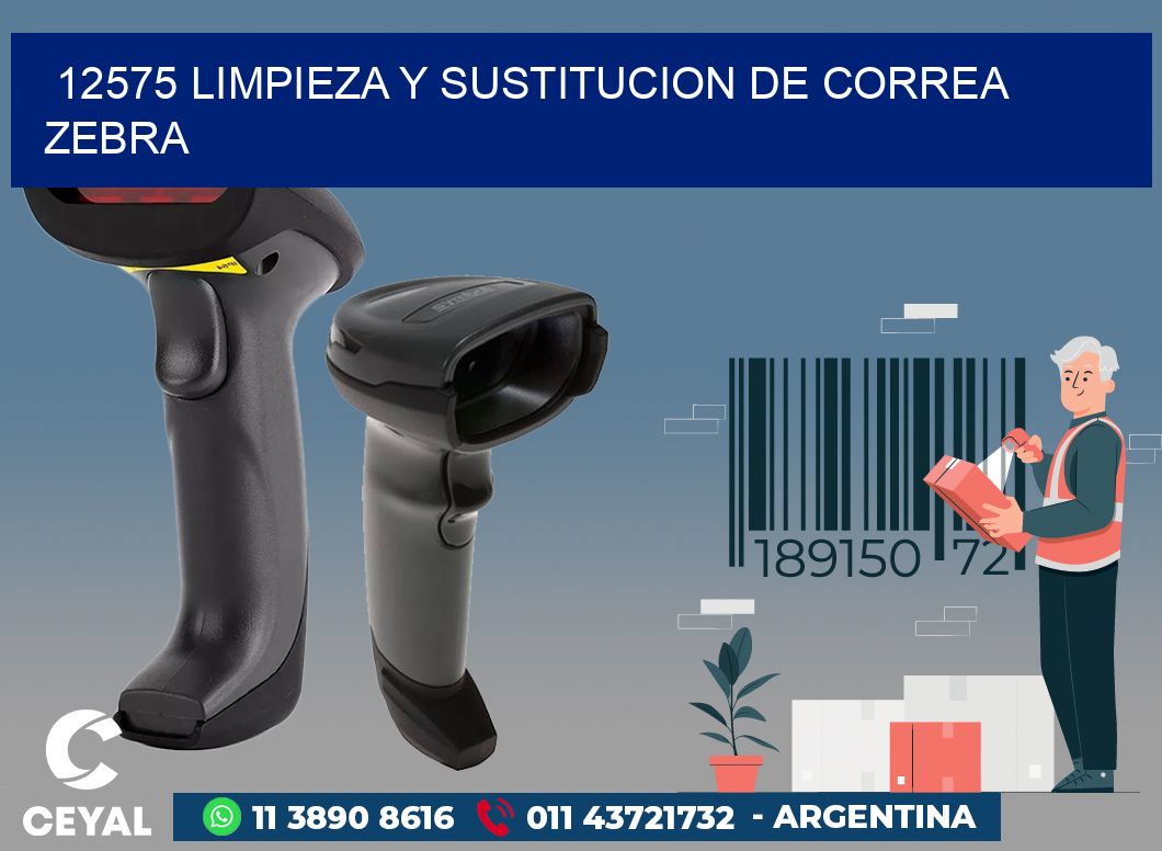 12575 LIMPIEZA Y SUSTITUCION DE CORREA ZEBRA
