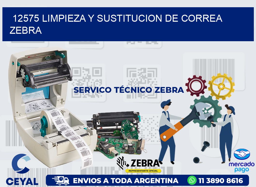 12575 LIMPIEZA Y SUSTITUCION DE CORREA ZEBRA