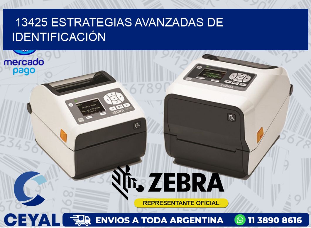 13425 ESTRATEGIAS AVANZADAS DE IDENTIFICACIÓN