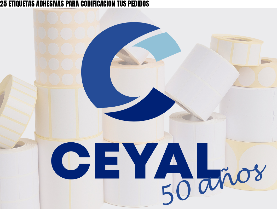 25 ETIQUETAS ADHESIVAS PARA CODIFICACION TUS PEDIDOS