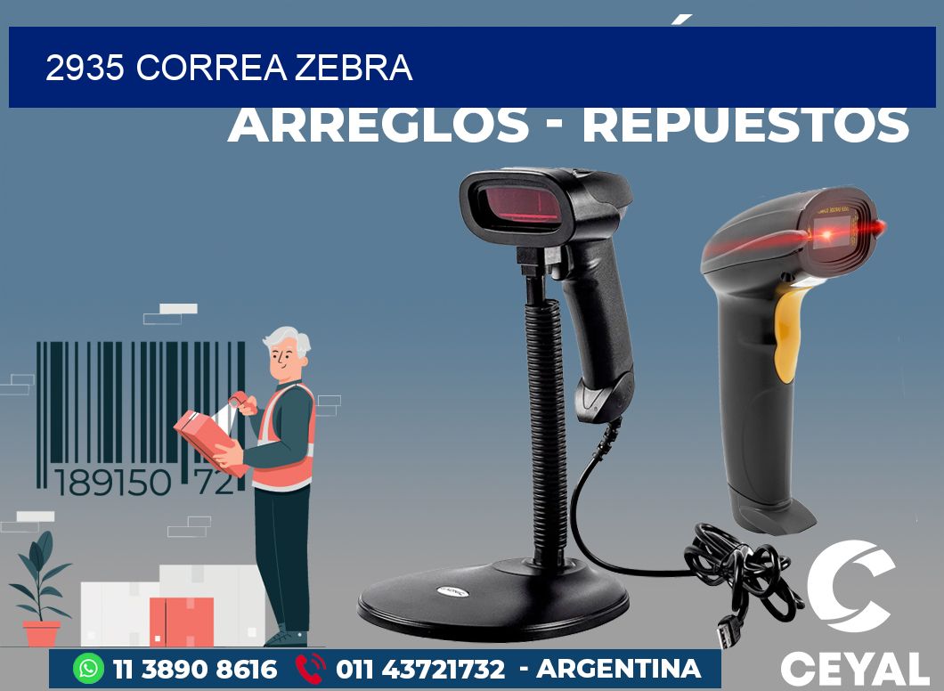 2935 CORREA ZEBRA
