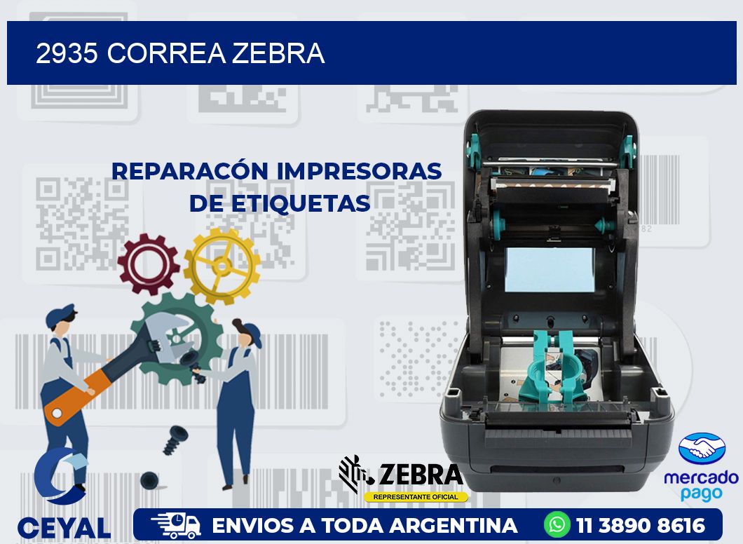 2935 CORREA ZEBRA