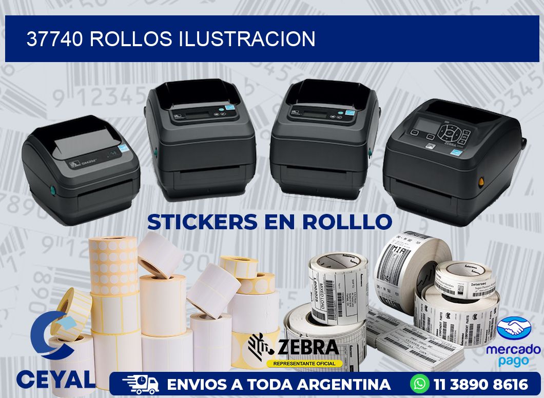 37740 ROLLOS ILUSTRACION