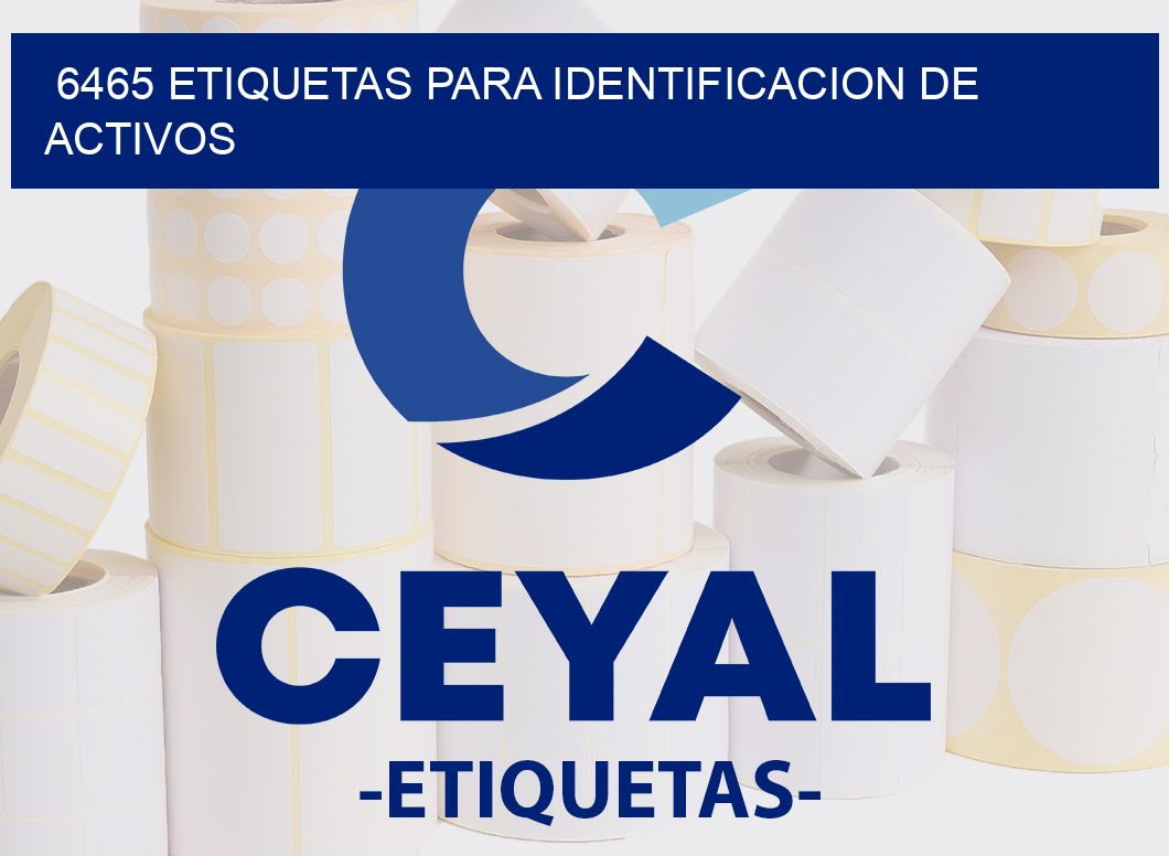 6465 ETIQUETAS PARA IDENTIFICACION DE ACTIVOS