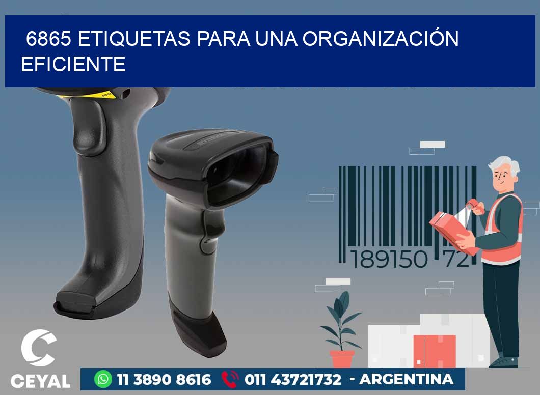 6865 ETIQUETAS PARA UNA ORGANIZACIÓN EFICIENTE