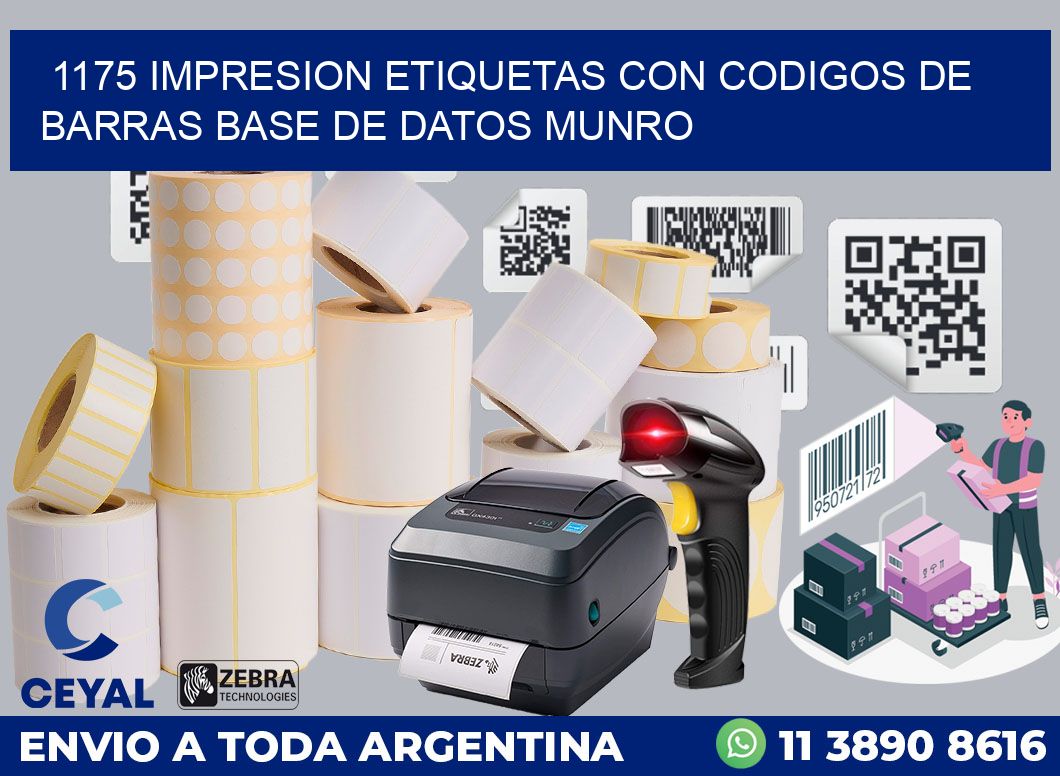 1175 IMPRESION ETIQUETAS CON CODIGOS DE BARRAS BASE DE DATOS MUNRO