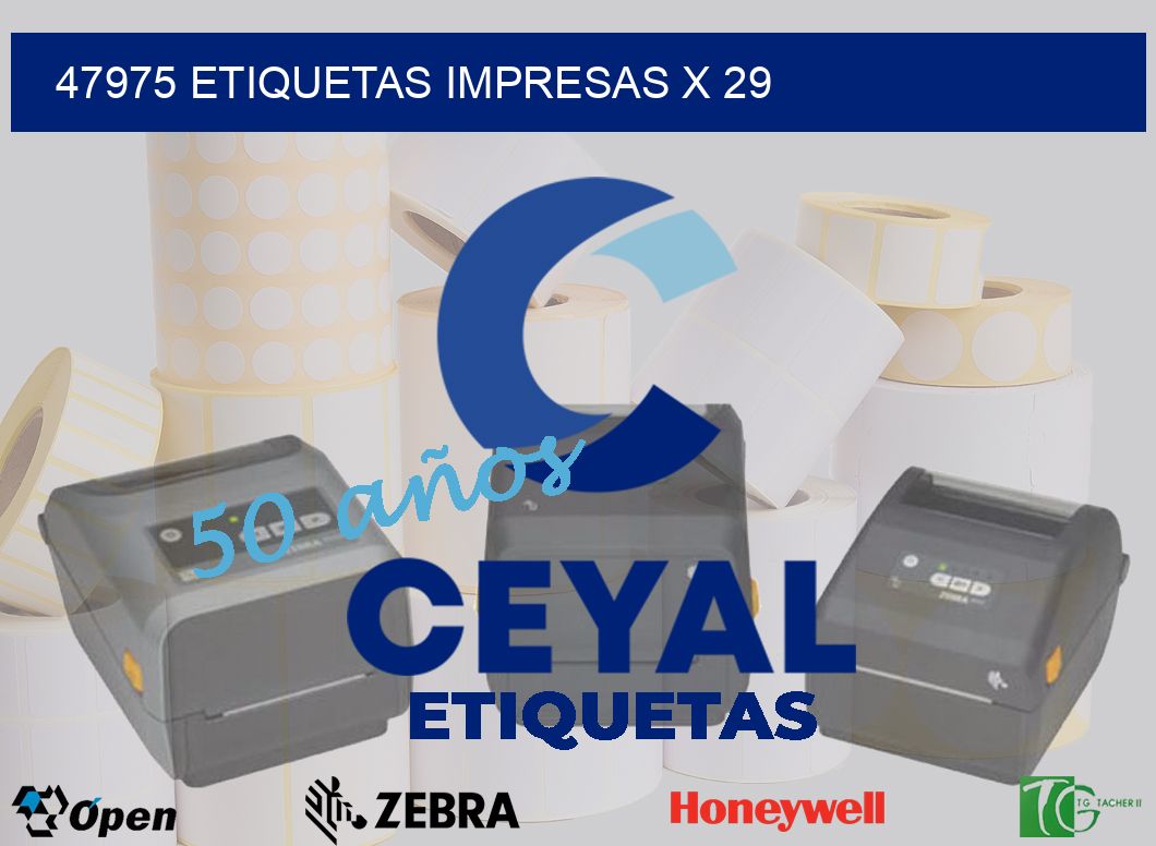 47975 Etiquetas impresas x 29