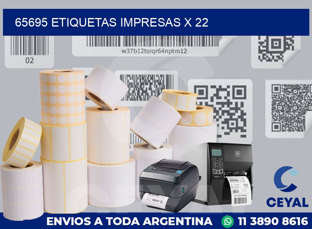 65695 Etiquetas impresas x 22