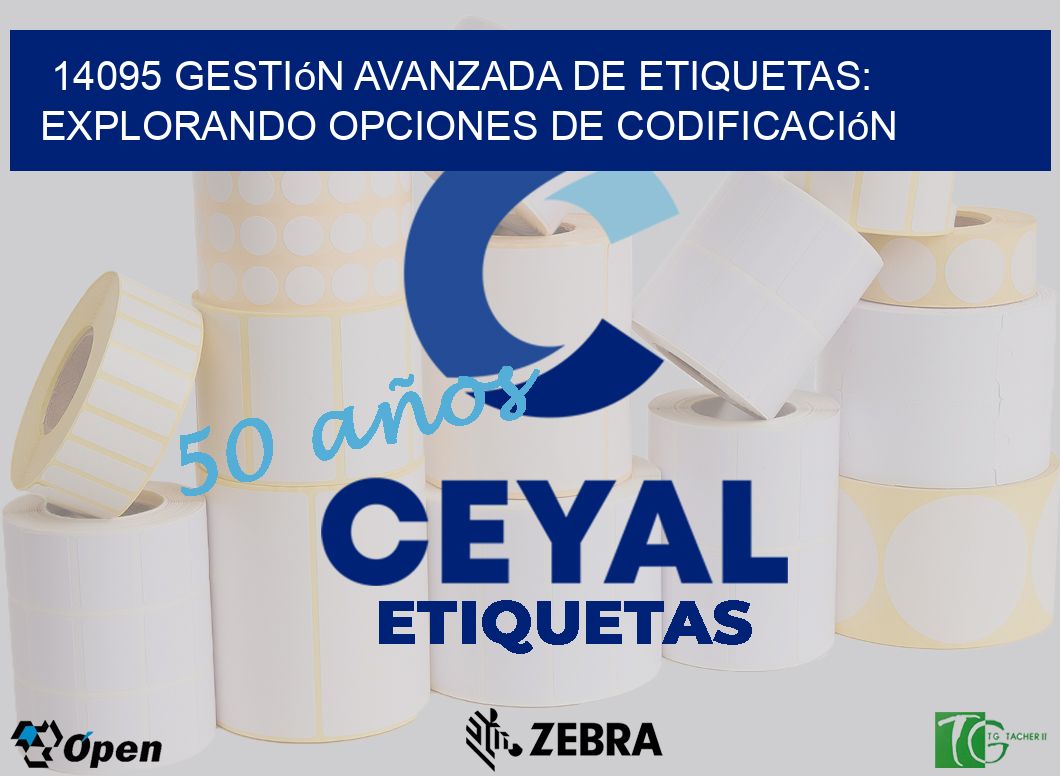 14095 Gestión Avanzada de Etiquetas: Explorando Opciones de Codificación