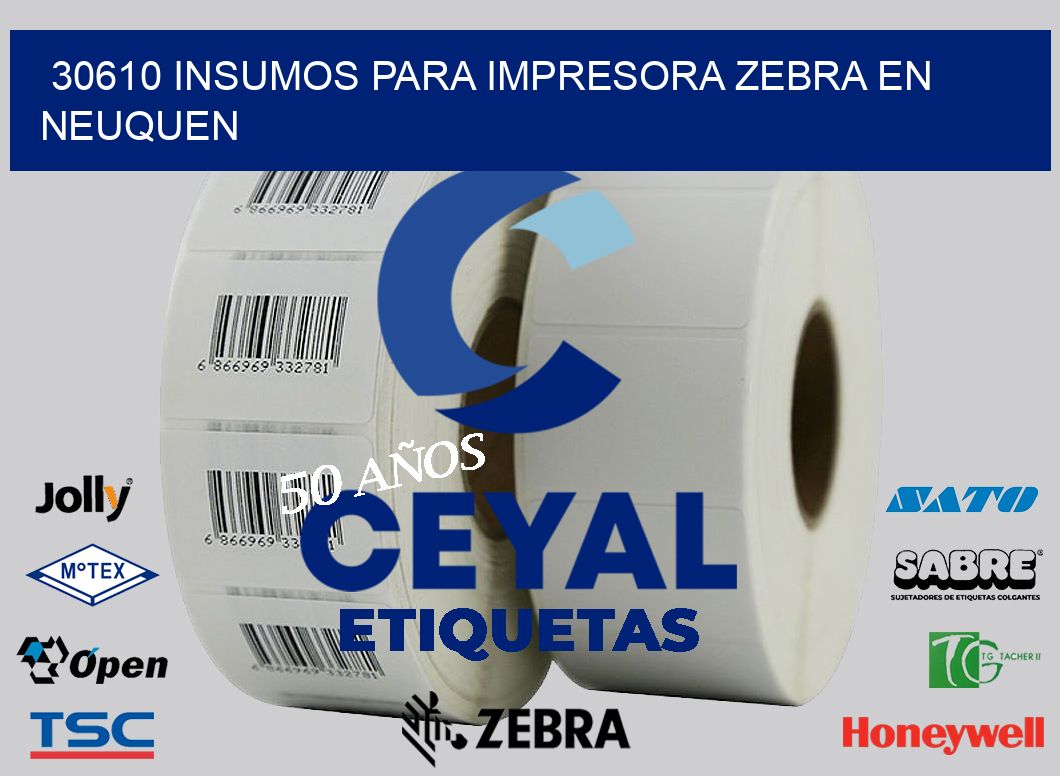 30610 INSUMOS PARA IMPRESORA ZEBRA EN NEUQUEN