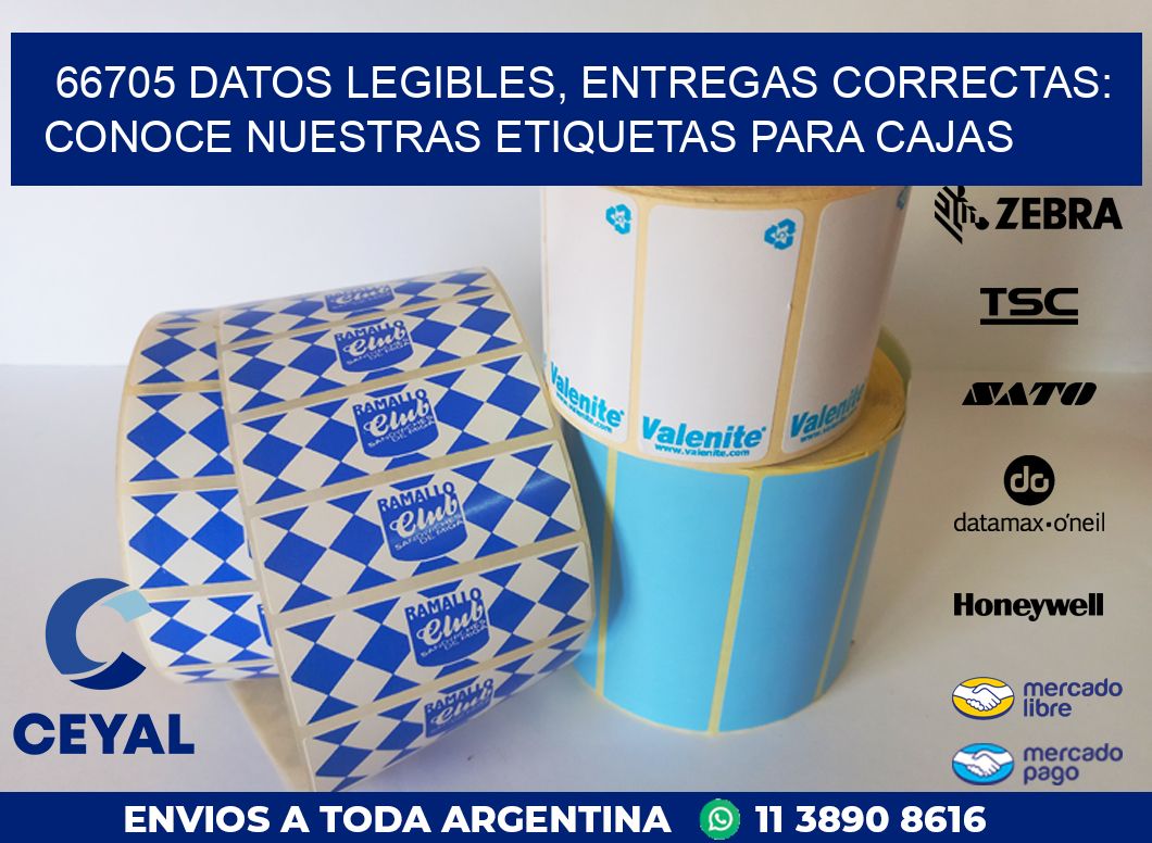 66705 DATOS LEGIBLES, ENTREGAS CORRECTAS: CONOCE NUESTRAS ETIQUETAS PARA CAJAS