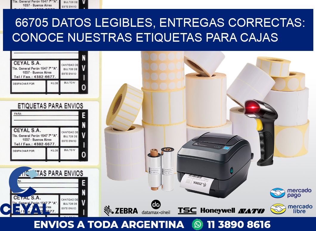 66705 DATOS LEGIBLES, ENTREGAS CORRECTAS: CONOCE NUESTRAS ETIQUETAS PARA CAJAS