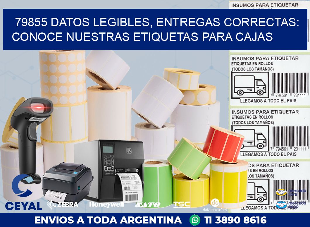 79855 DATOS LEGIBLES, ENTREGAS CORRECTAS: CONOCE NUESTRAS ETIQUETAS PARA CAJAS