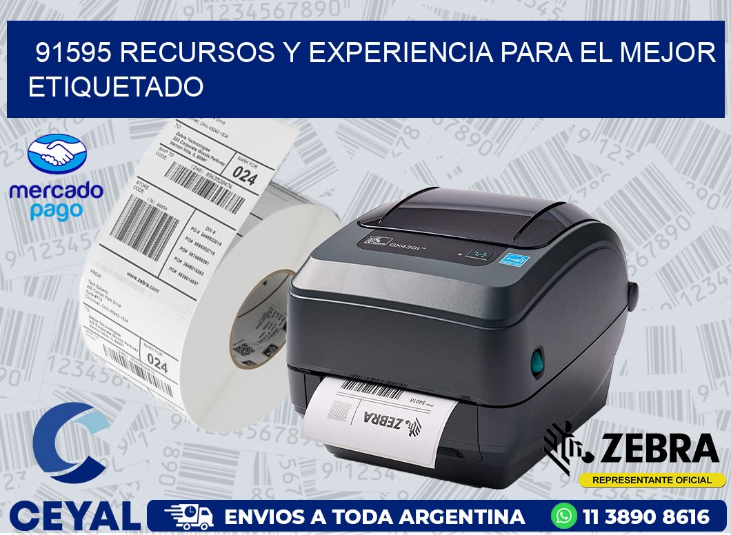 91595 RECURSOS Y EXPERIENCIA PARA EL MEJOR ETIQUETADO