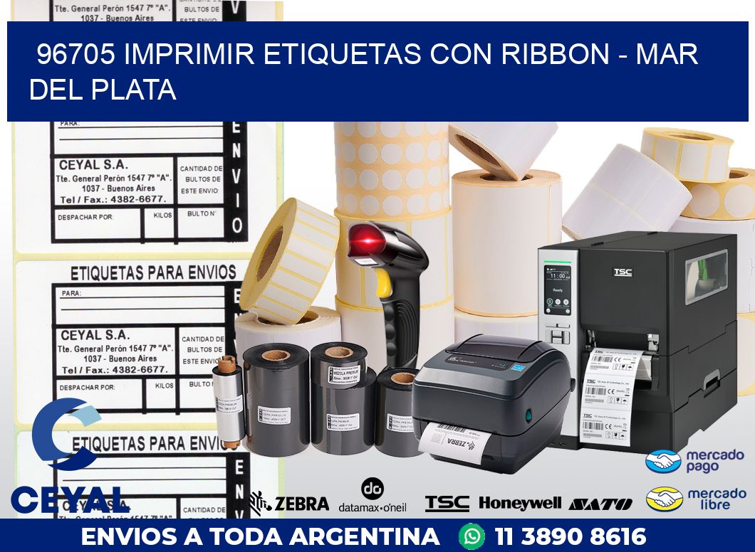 96705 IMPRIMIR ETIQUETAS CON RIBBON – MAR DEL PLATA