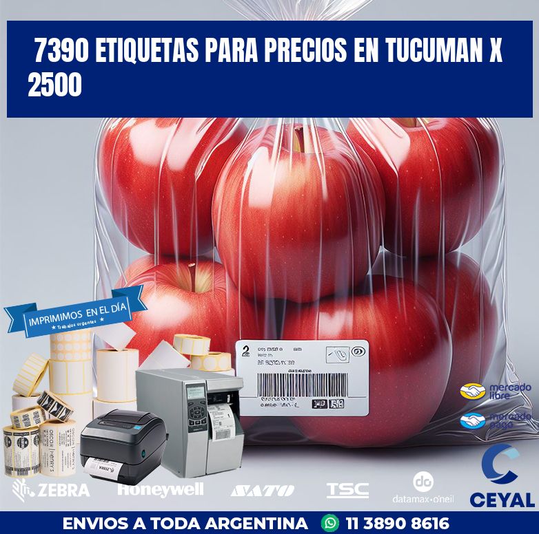 7390 ETIQUETAS PARA PRECIOS EN TUCUMAN X 2500