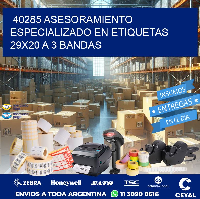 40285 ASESORAMIENTO ESPECIALIZADO EN ETIQUETAS 29X20 A 3 BANDAS