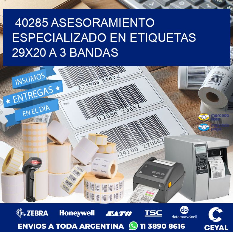 40285 ASESORAMIENTO ESPECIALIZADO EN ETIQUETAS 29X20 A 3 BANDAS