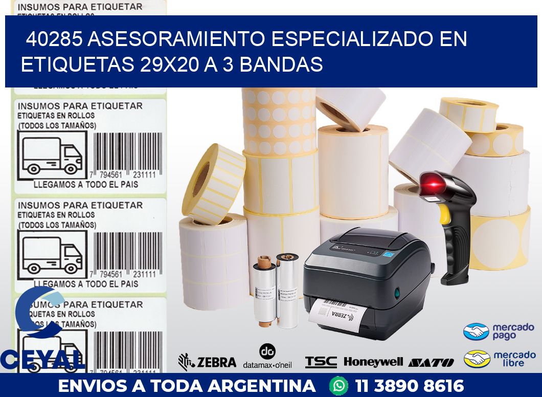 40285 ASESORAMIENTO ESPECIALIZADO EN ETIQUETAS 29X20 A 3 BANDAS