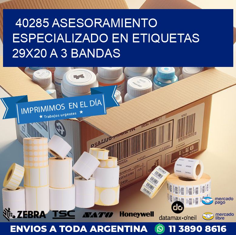 40285 ASESORAMIENTO ESPECIALIZADO EN ETIQUETAS 29X20 A 3 BANDAS