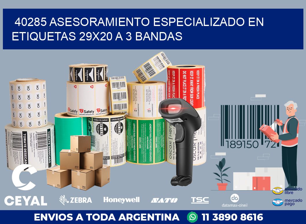 40285 ASESORAMIENTO ESPECIALIZADO EN ETIQUETAS 29X20 A 3 BANDAS