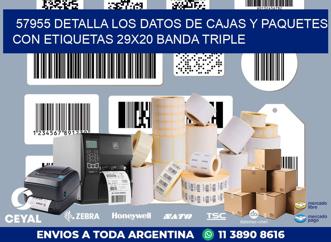 57955 DETALLA LOS DATOS DE CAJAS Y PAQUETES CON ETIQUETAS 29X20 BANDA TRIPLE
