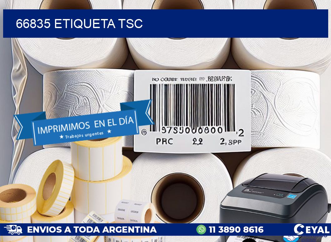 66835 etiqueta tsc