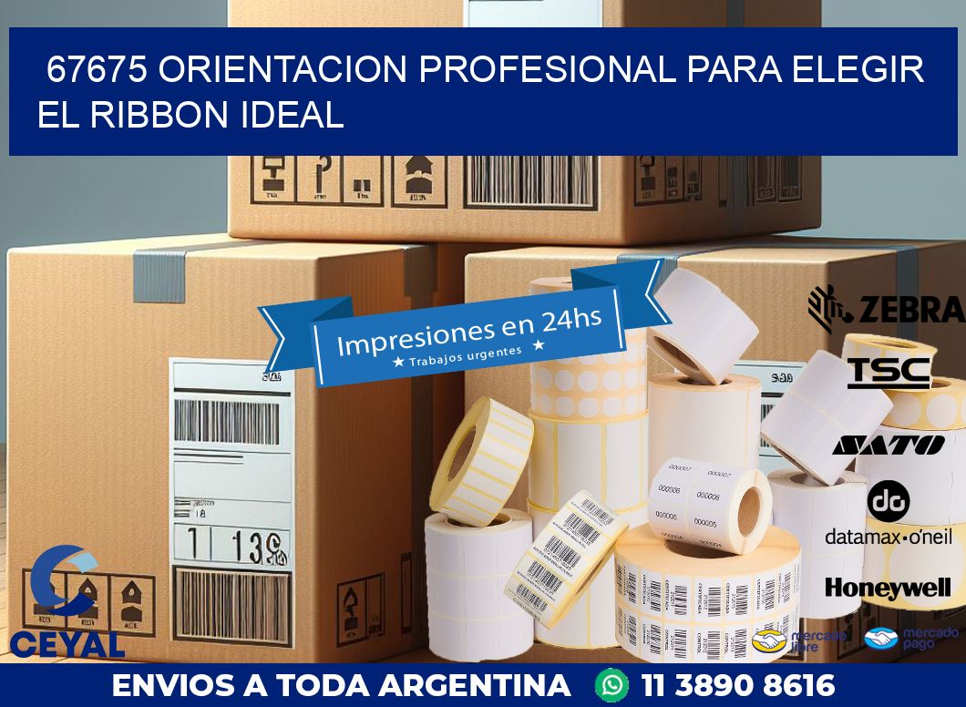 67675 ORIENTACION PROFESIONAL PARA ELEGIR EL RIBBON IDEAL