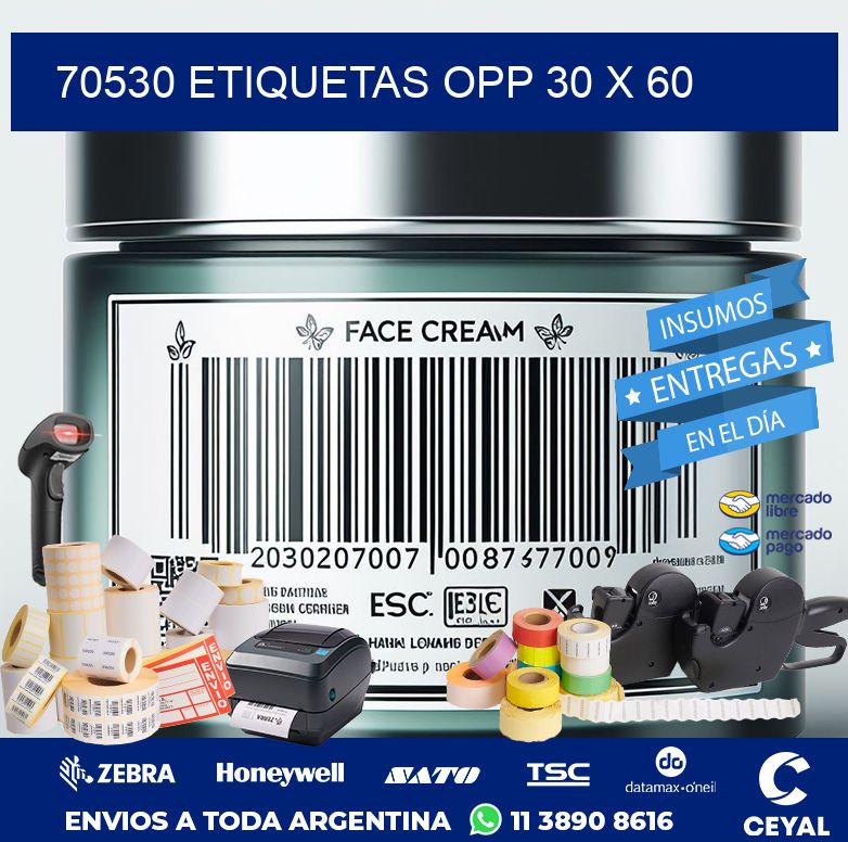 70530 ETIQUETAS OPP 30 X 60