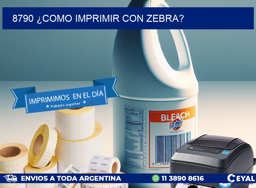 8790 ¿COMO IMPRIMIR CON ZEBRA?