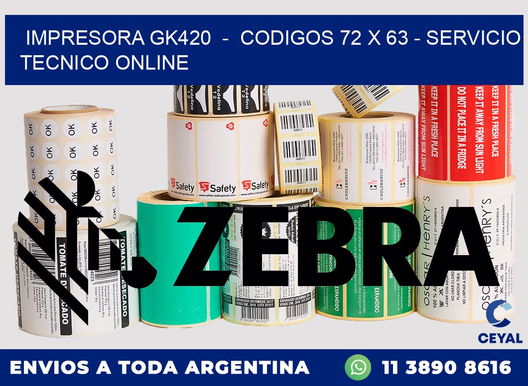 IMPRESORA GK420  -  CODIGOS 72 x 63 - SERVICIO TECNICO ONLINE