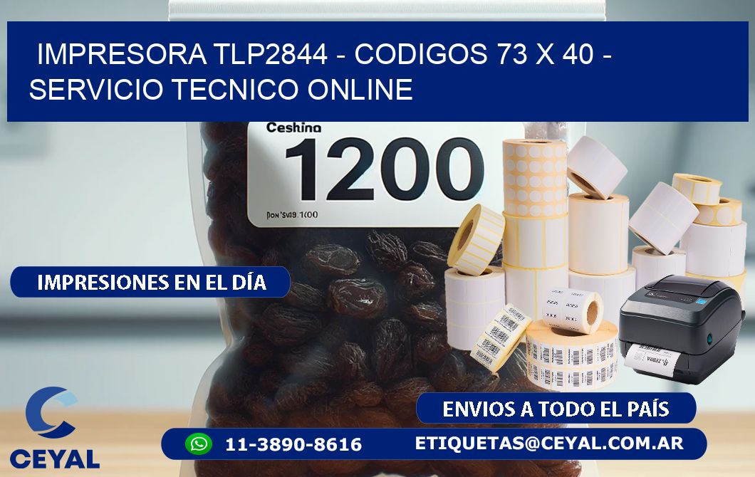 IMPRESORA TLP2844 - CODIGOS 73 x 40 - SERVICIO TECNICO ONLINE