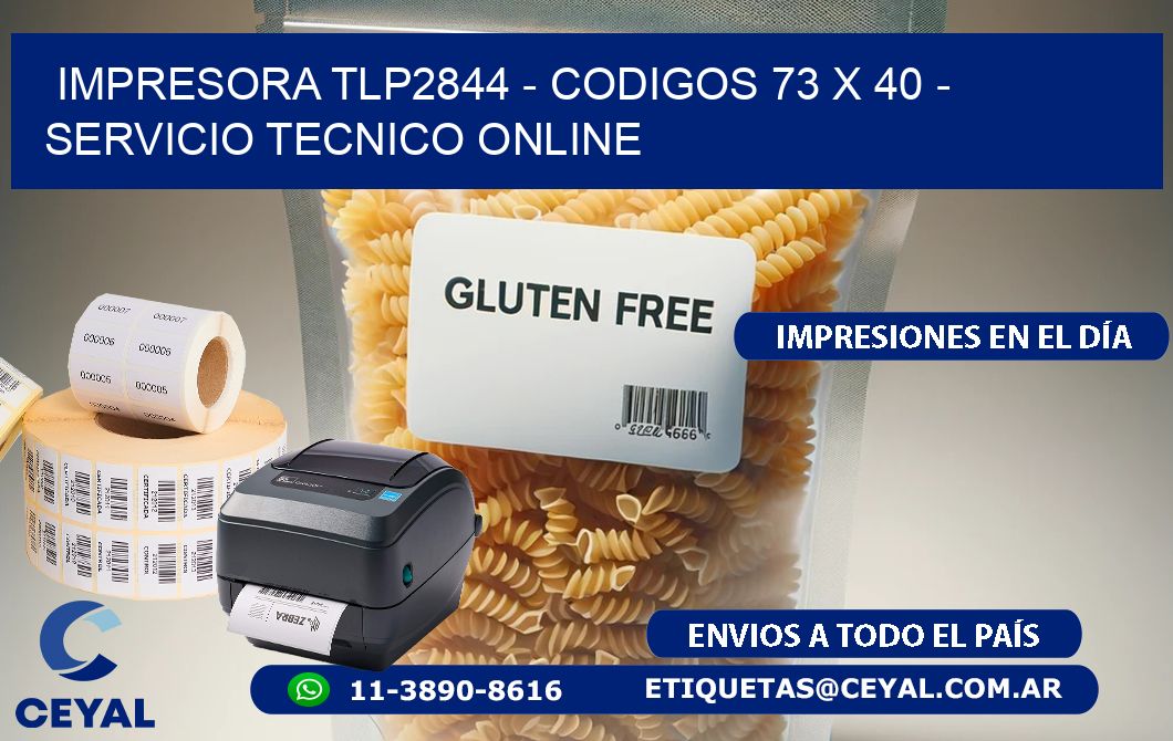 IMPRESORA TLP2844 - CODIGOS 73 x 40 - SERVICIO TECNICO ONLINE