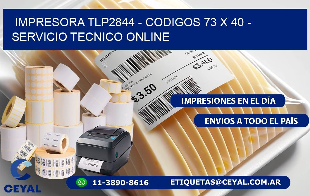 IMPRESORA TLP2844 - CODIGOS 73 x 40 - SERVICIO TECNICO ONLINE