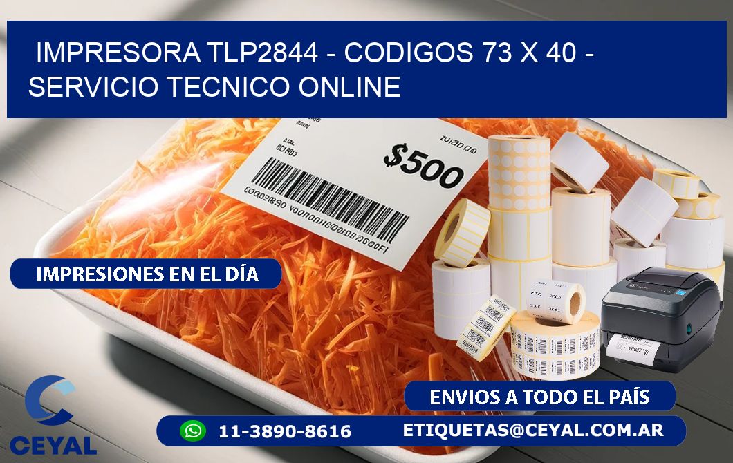 IMPRESORA TLP2844 – CODIGOS 73 x 40 – SERVICIO TECNICO ONLINE