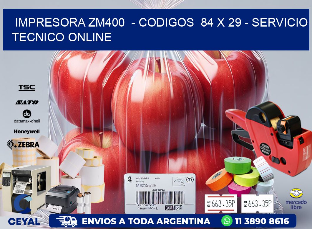 IMPRESORA ZM400  - CODIGOS  84 x 29 - SERVICIO TECNICO ONLINE