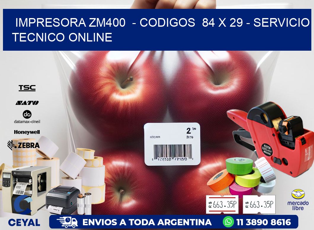 IMPRESORA ZM400  - CODIGOS  84 x 29 - SERVICIO TECNICO ONLINE