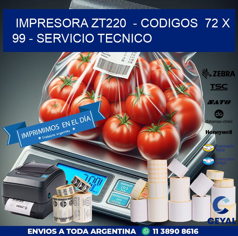 IMPRESORA ZT220  – CODIGOS  72 x 99 – SERVICIO TECNICO