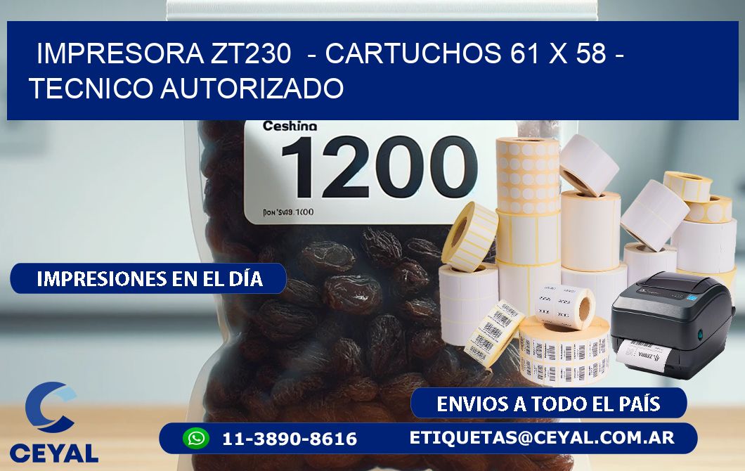 IMPRESORA ZT230  - CARTUCHOS 61 x 58 - TECNICO AUTORIZADO