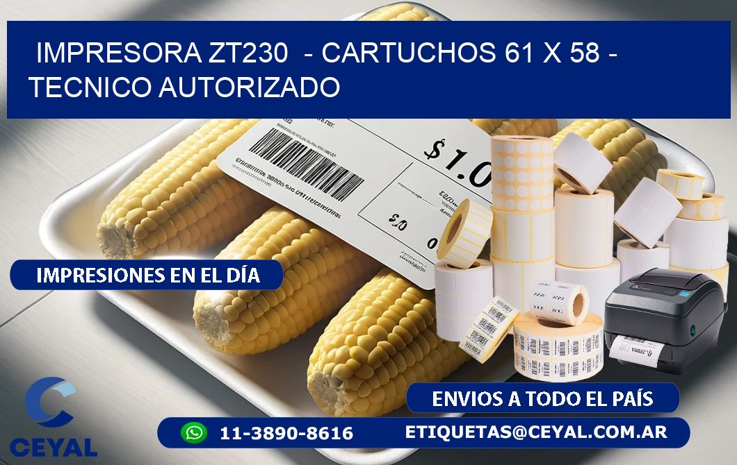 IMPRESORA ZT230  - CARTUCHOS 61 x 58 - TECNICO AUTORIZADO