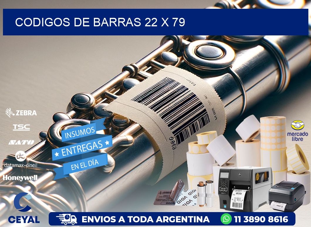 codigos de barras 22 x 79