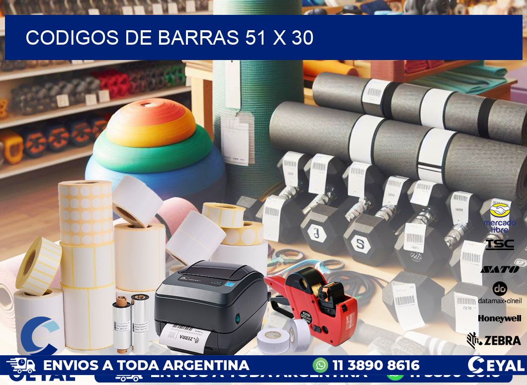 codigos de barras 51 x 30